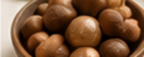 featured_article_3
